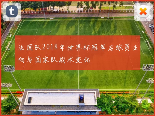 法国队2018年世界杯冠军后球员去向与国家队战术变化