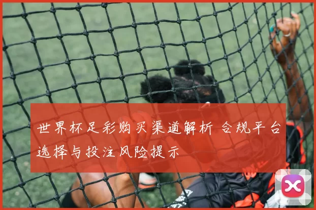 世界杯足彩购买渠道解析 合规平台选择与投注风险提示