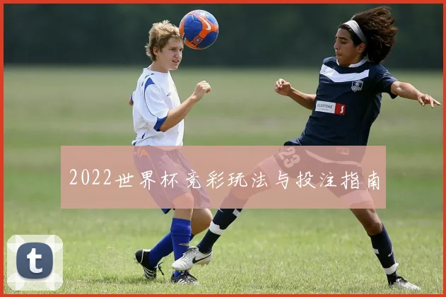 2022世界杯竞彩玩法与投注指南