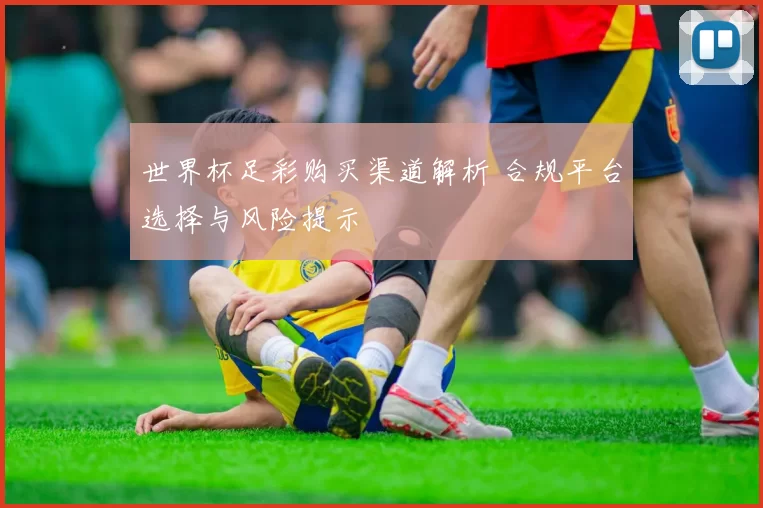 世界杯足彩购买渠道解析 合规平台选择与风险提示