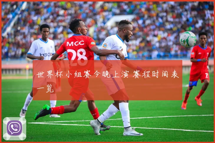 世界杯小组赛今晚上演 赛程时间表一览