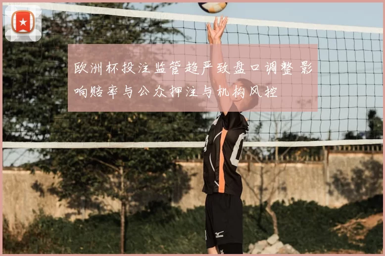 欧洲杯投注监管趋严致盘口调整 影响赔率与公众押注与机构风控
