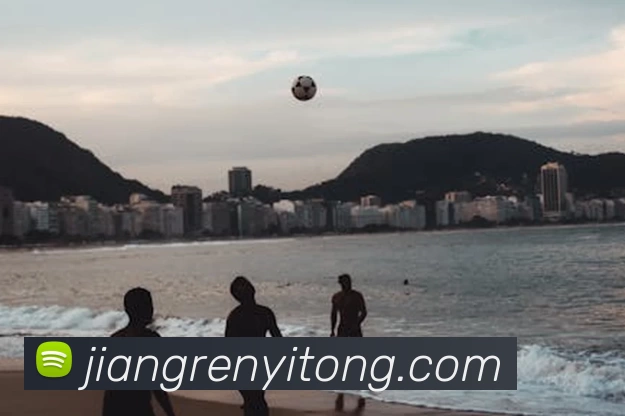 mksports体育 - mk(中国)一站式服务官方网站发展历程